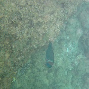 Picture 050